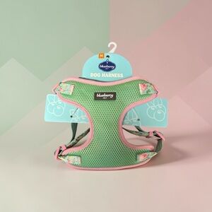 Blueberry Pet Green & Pink Mesh Dog Harness
